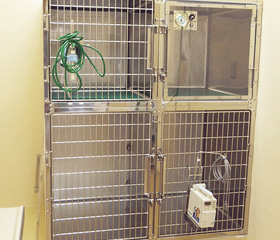 犬用入院室